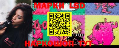 гидропоника Боровичи