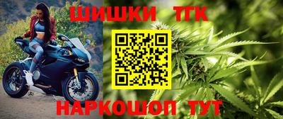 мдпв Бердск
