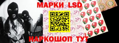 мдпв Бердск