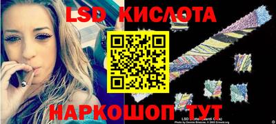 мдпв Бердск