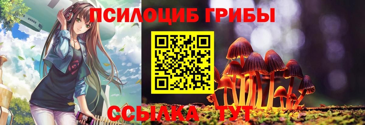 Галлюциногенные грибы Cubensis  Галлюциногенные грибы MAGIC MUSHROOMS  Грязи  Вход с VPN 